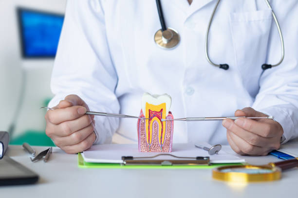 Trusted AK Emergency Dentist Experts